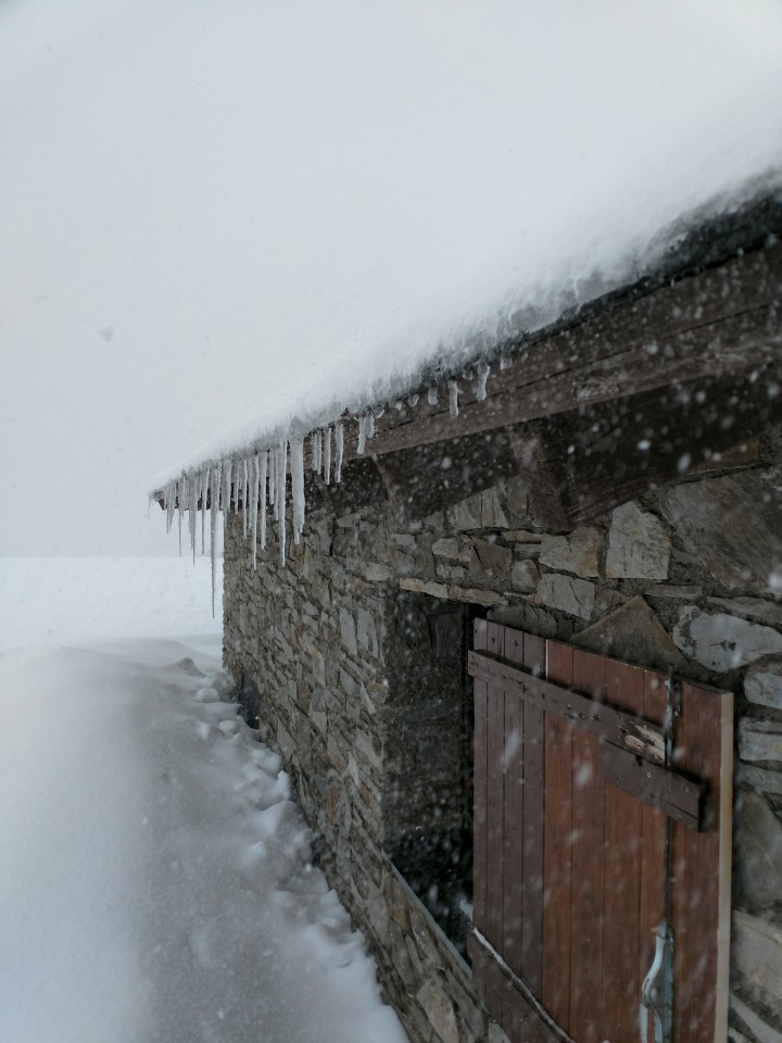 vft_tr_andorra_2018_0hlj2h.jpg