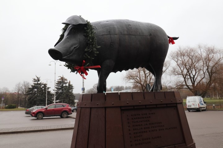 vft_tr_estland_2020_0ndka4.jpg