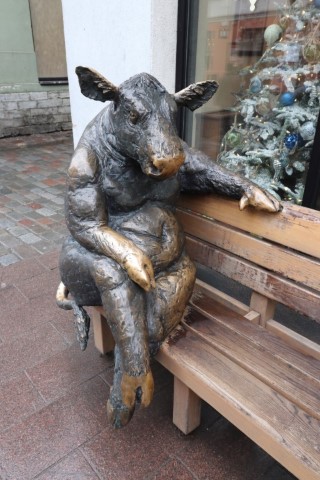 vft_tr_estland_2020_0q0k6i.jpg