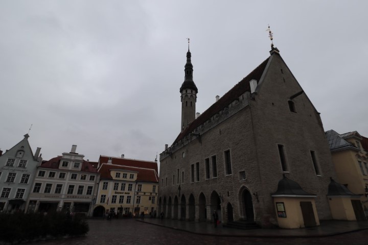 vft_tr_estland_2020_0smjlj.jpg
