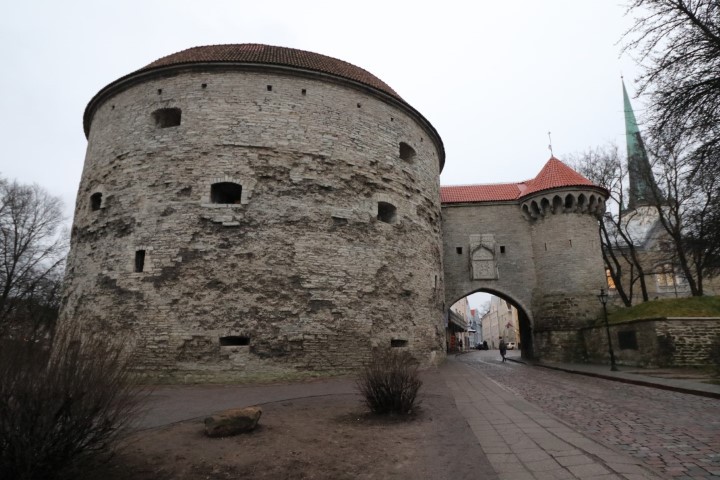 vft_tr_estland_2020_0zjj54.jpg