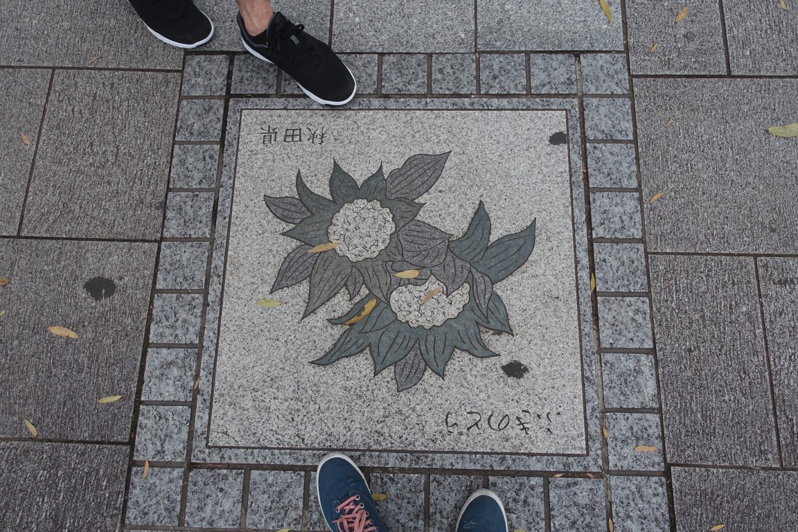 vft_tr_japan_2017_014mpso1.jpg