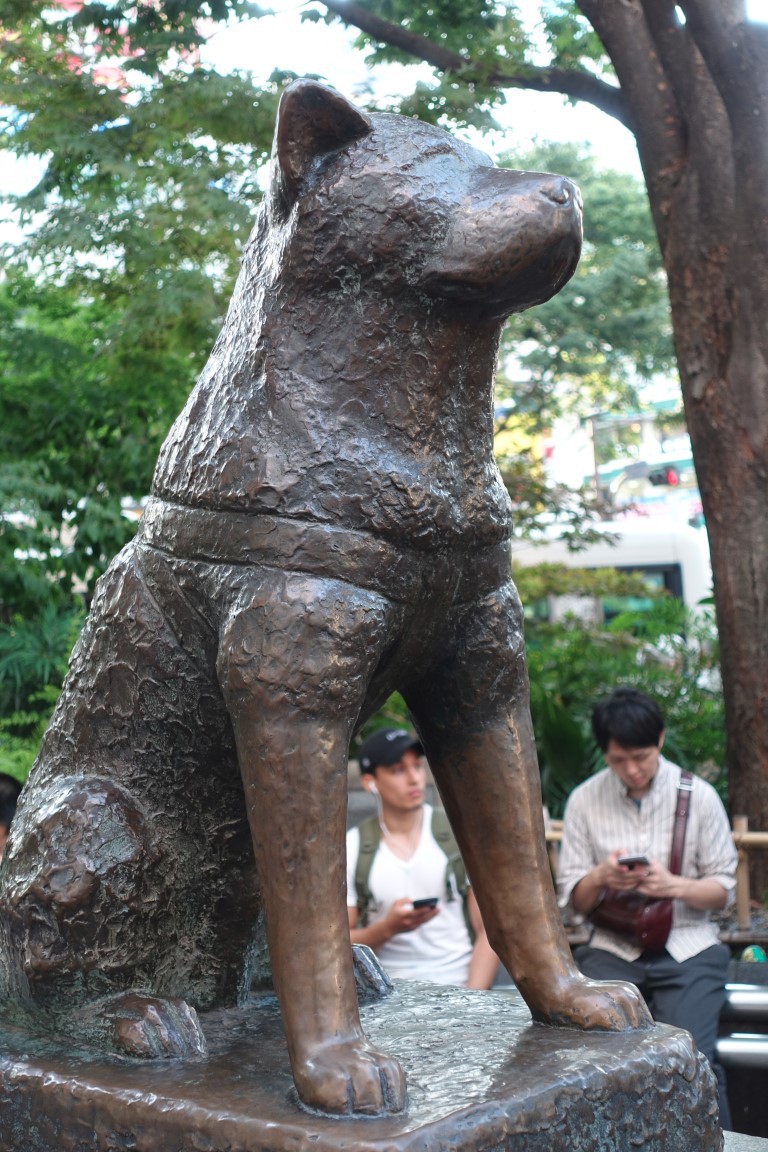 vft_tr_japan_2017_029dwspe.jpg