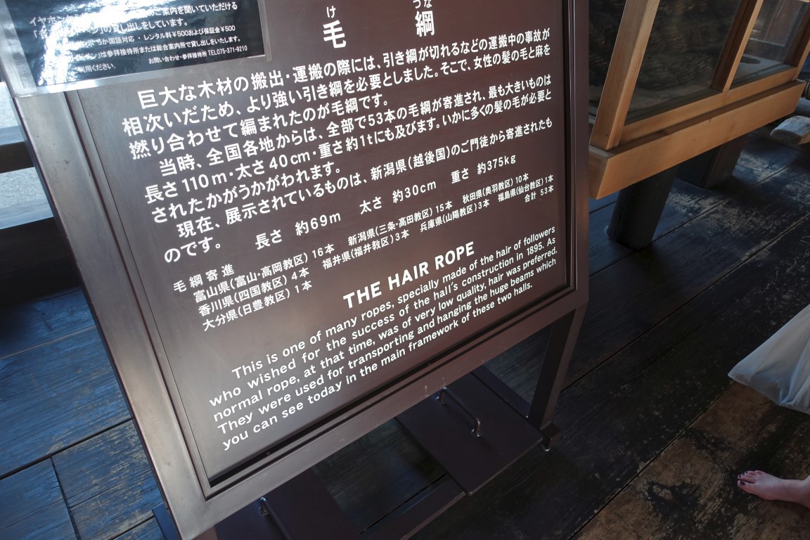 vft_tr_japan_2017_061phsny.jpg