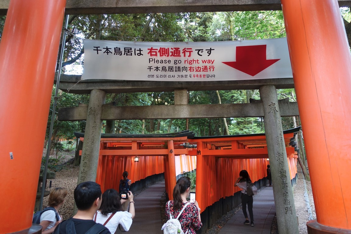 vft_tr_japan_2017_0676lsmz.jpg