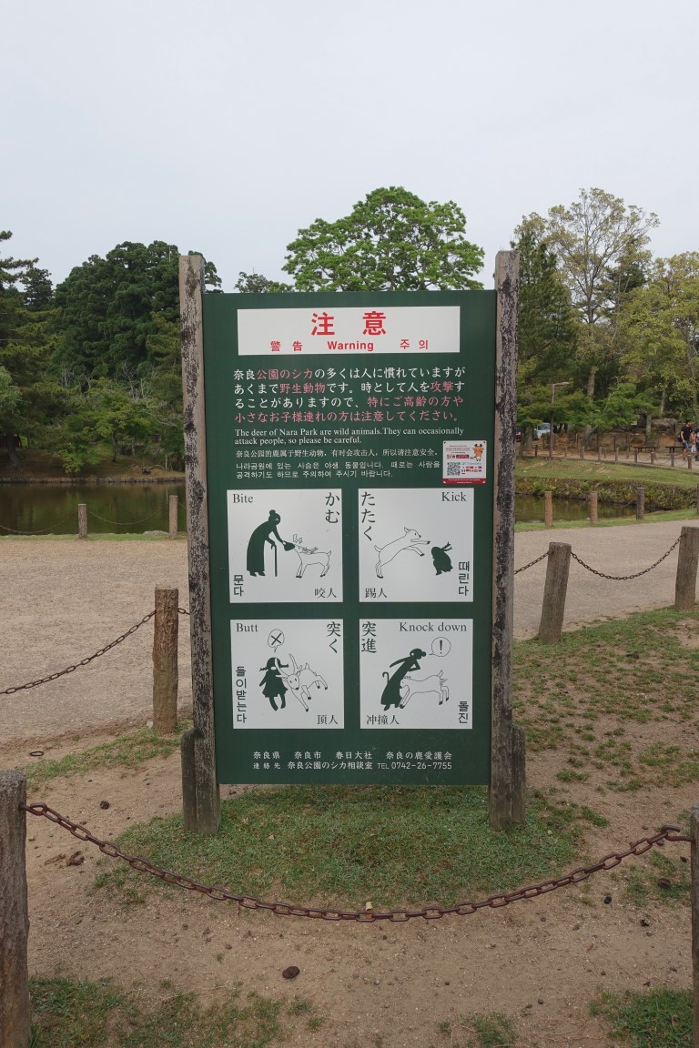 vft_tr_japan_2017_082a7s2u.jpg