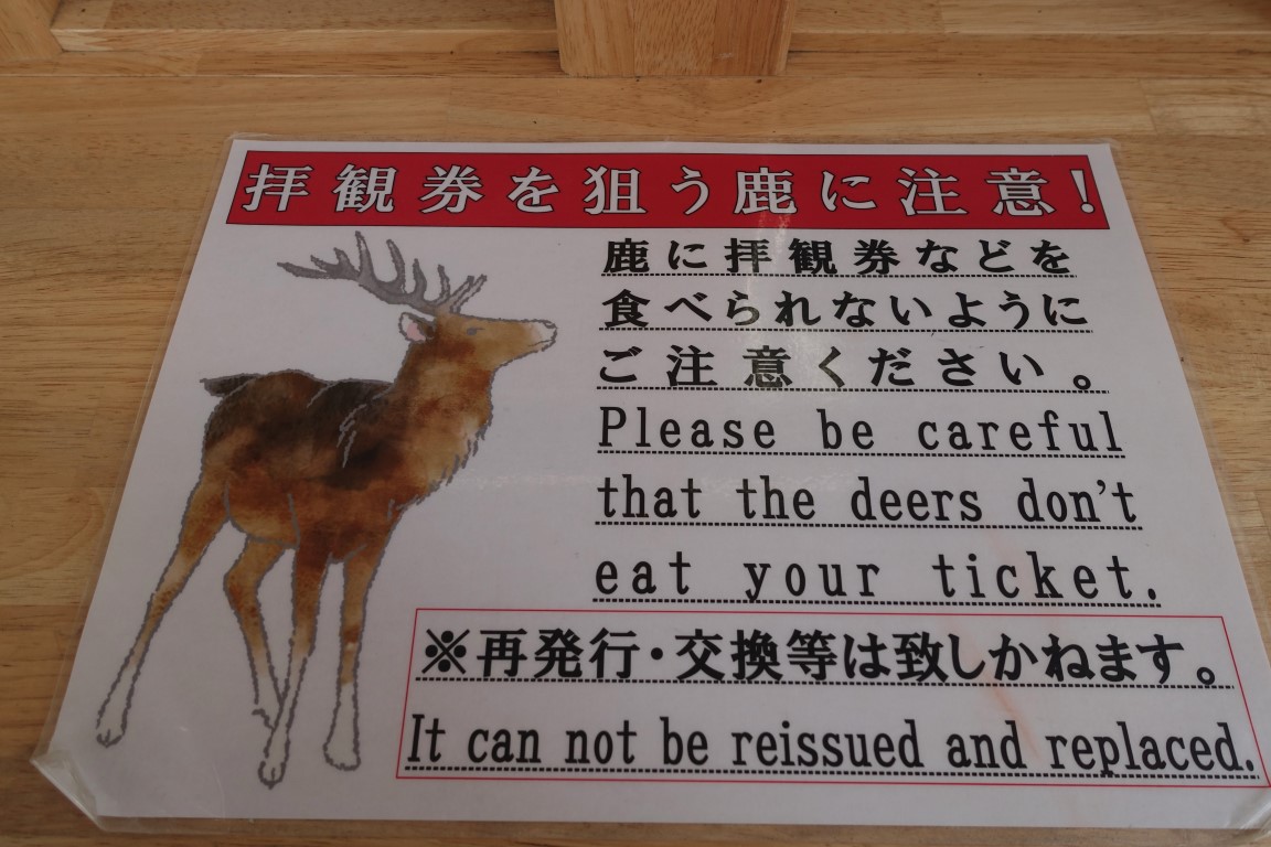 vft_tr_japan_2017_083wgs5h.jpg