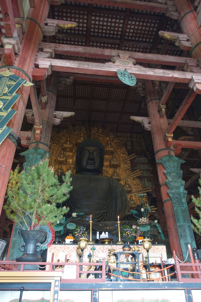 vft_tr_japan_2017_0855rspj.jpg