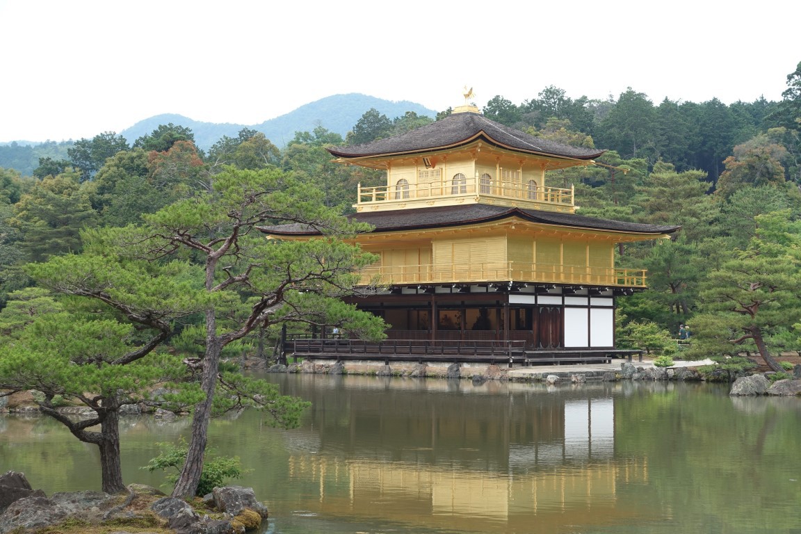 vft_tr_japan_2017_092jvsed.jpg