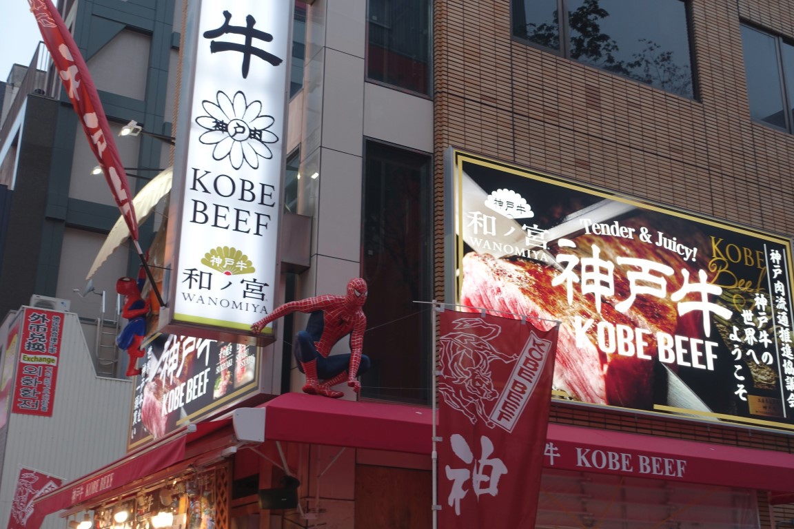 vft_tr_japan_2017_1107dsnq.jpg
