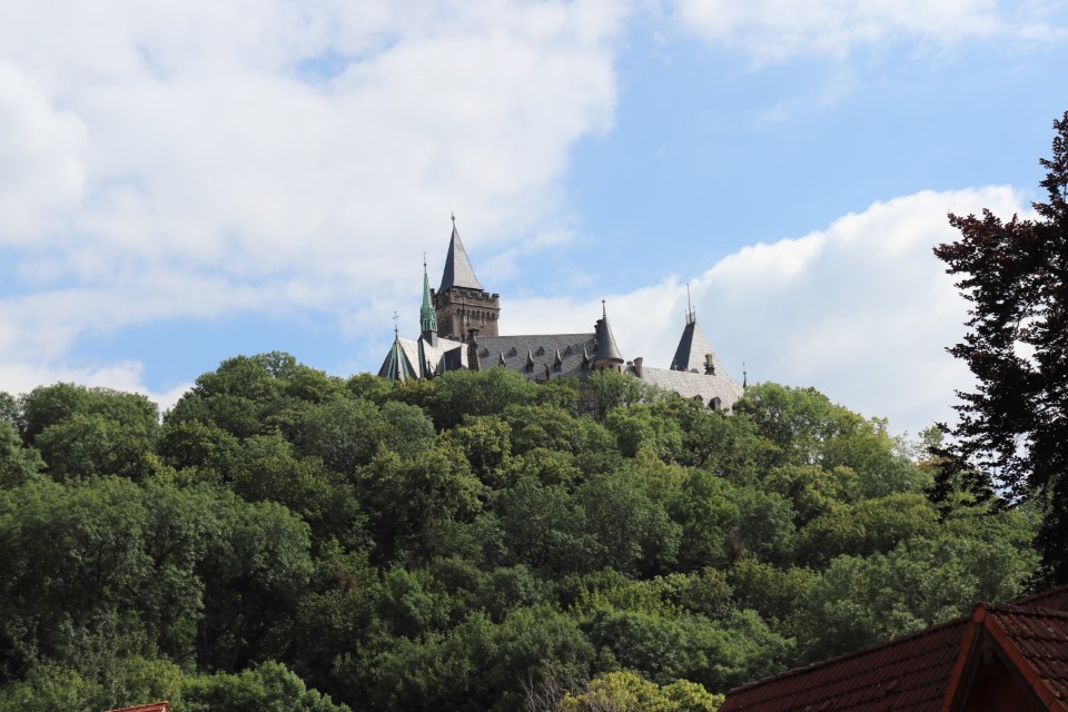 vft_tr_ontour_2020_182wjjx.jpg