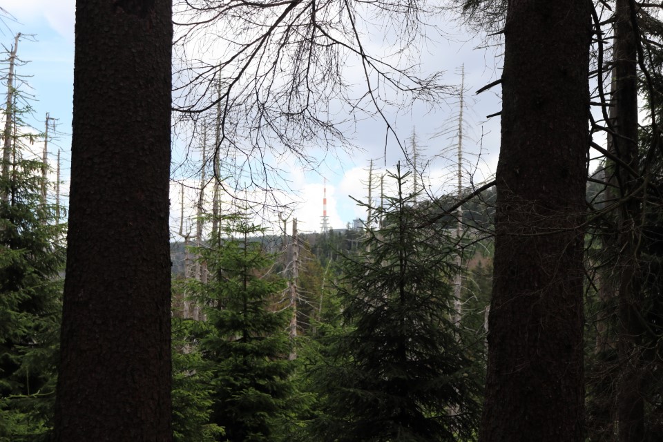 vft_tr_ontour_2020_2087j13.jpg
