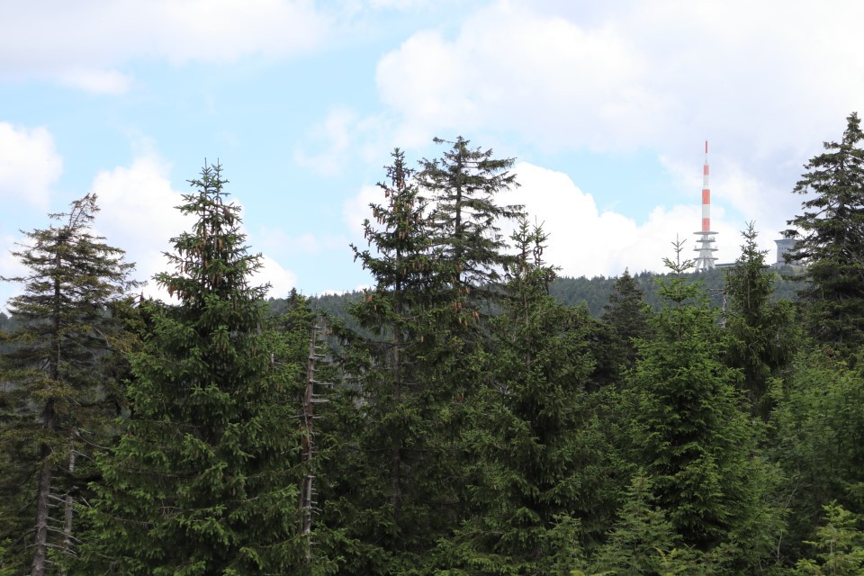 vft_tr_ontour_2020_20lvjwi.jpg