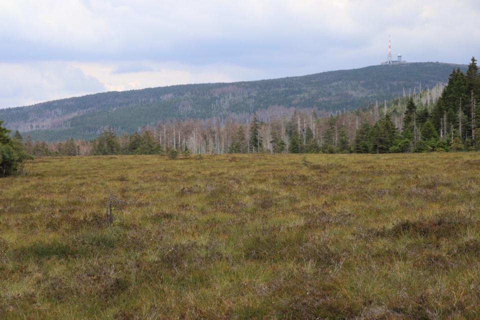 vft_tr_ontour_2020_22a4ke0.jpg