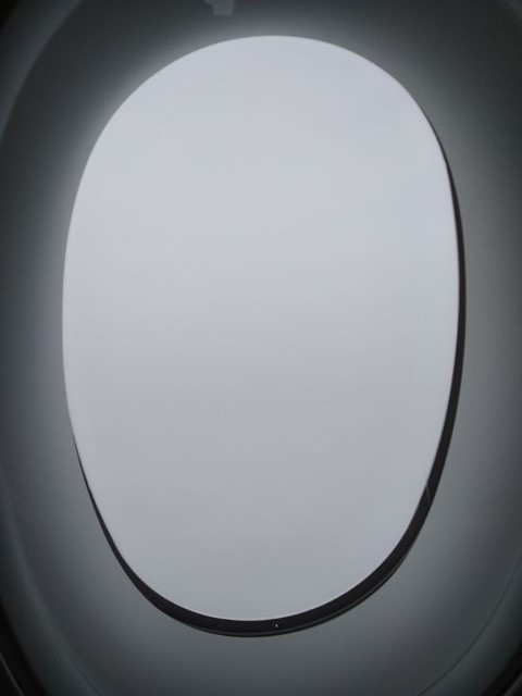 vft_tr_papierflieger_bkj06.jpg