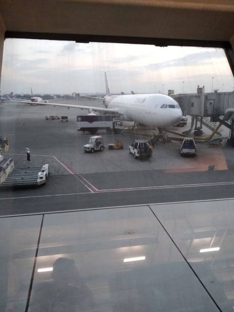 vft_tr_papierflieger_ojk2r.jpg