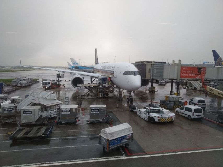 vft_tr_papierflieger_tcjwn.jpg