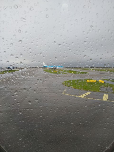 vft_tr_papierflieger_vck3e.jpg