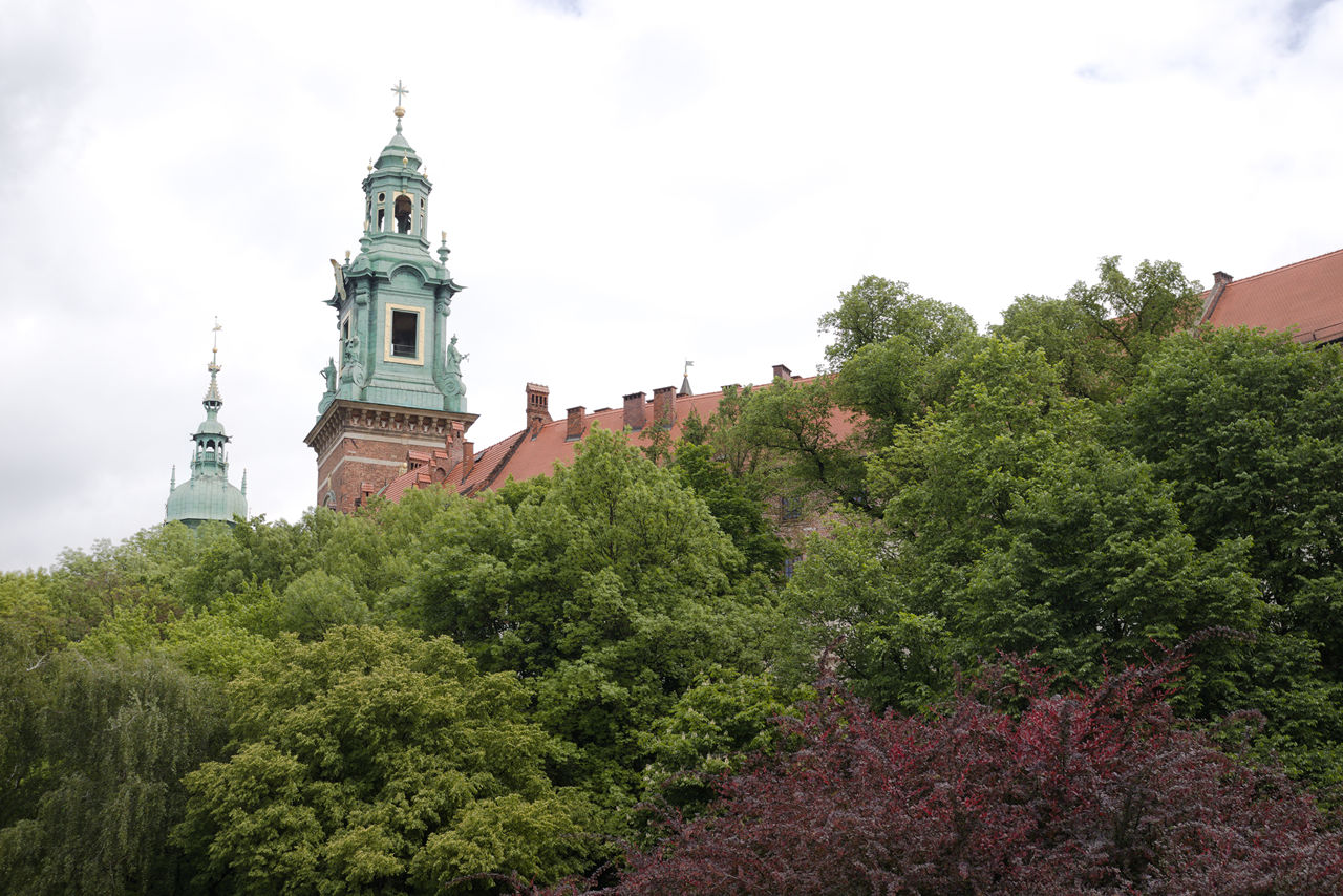 VFT_TR_Polen_116.jpg
