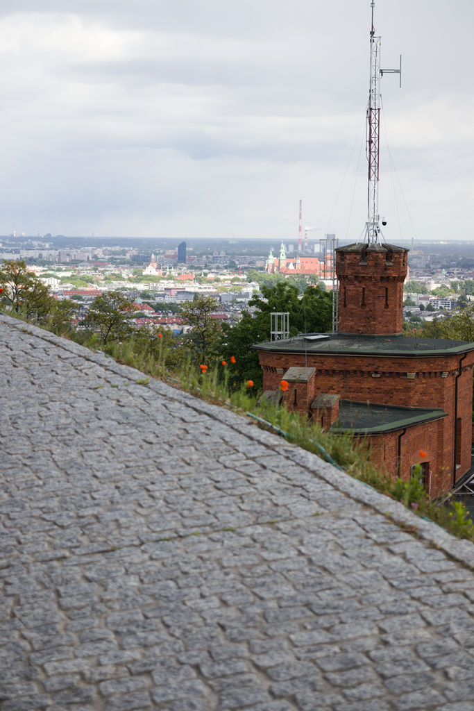 VFT_TR_Polen_128.jpg