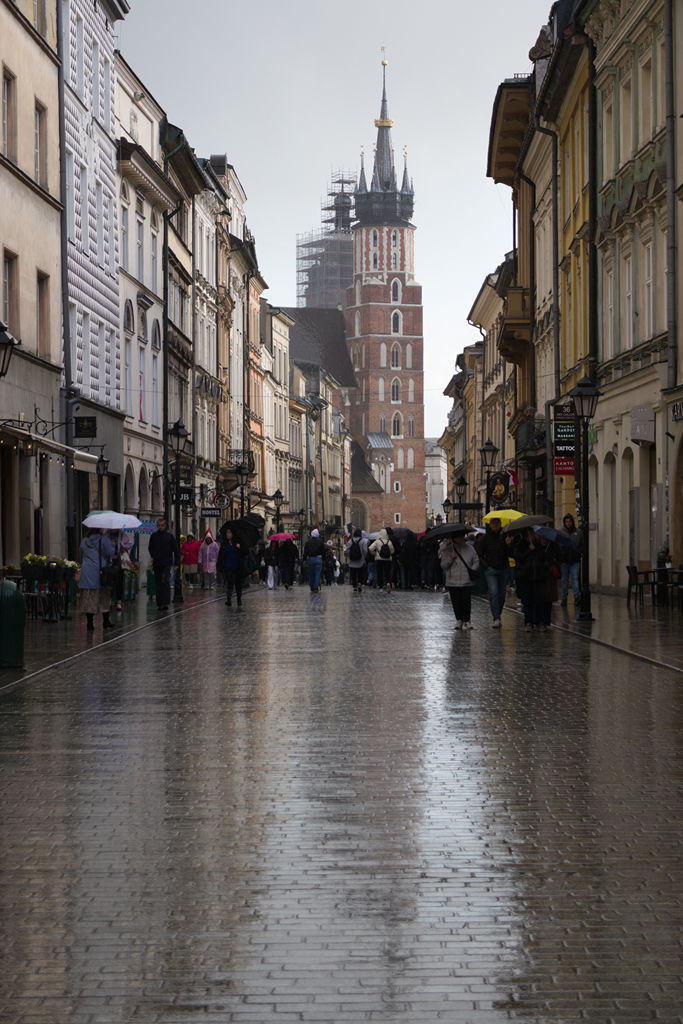 VFT_TR_Polen_132.jpg