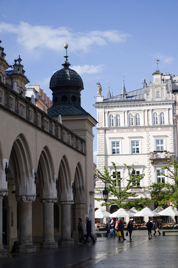 VFT_TR_Polen_136.jpg