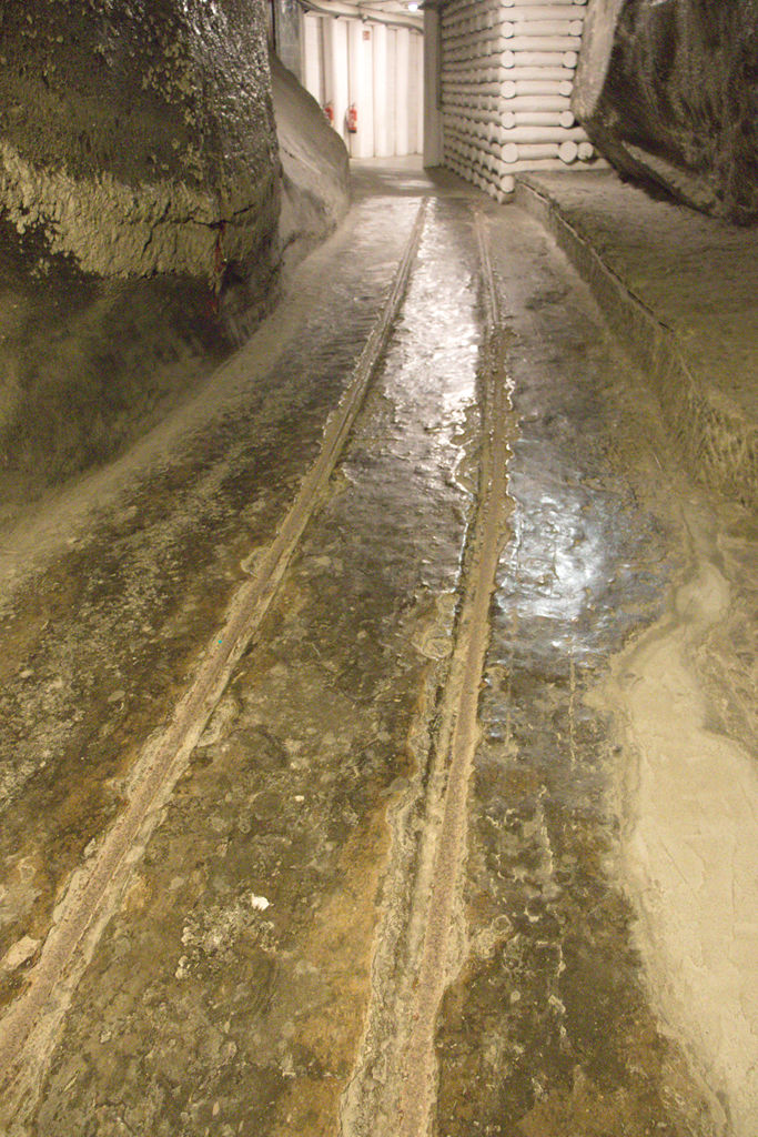 VFT_TR_Polen_162.jpg