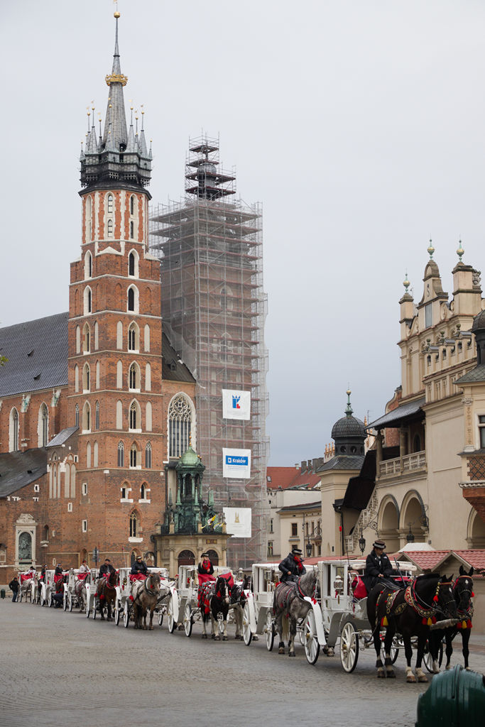VFT_TR_Polen_201.jpg