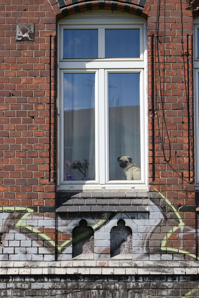 VFT_TR_Polen_263.jpg