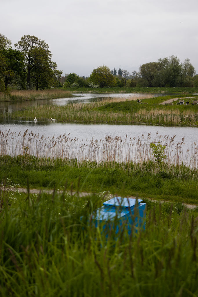 VFT_TR_Polen_312.jpg