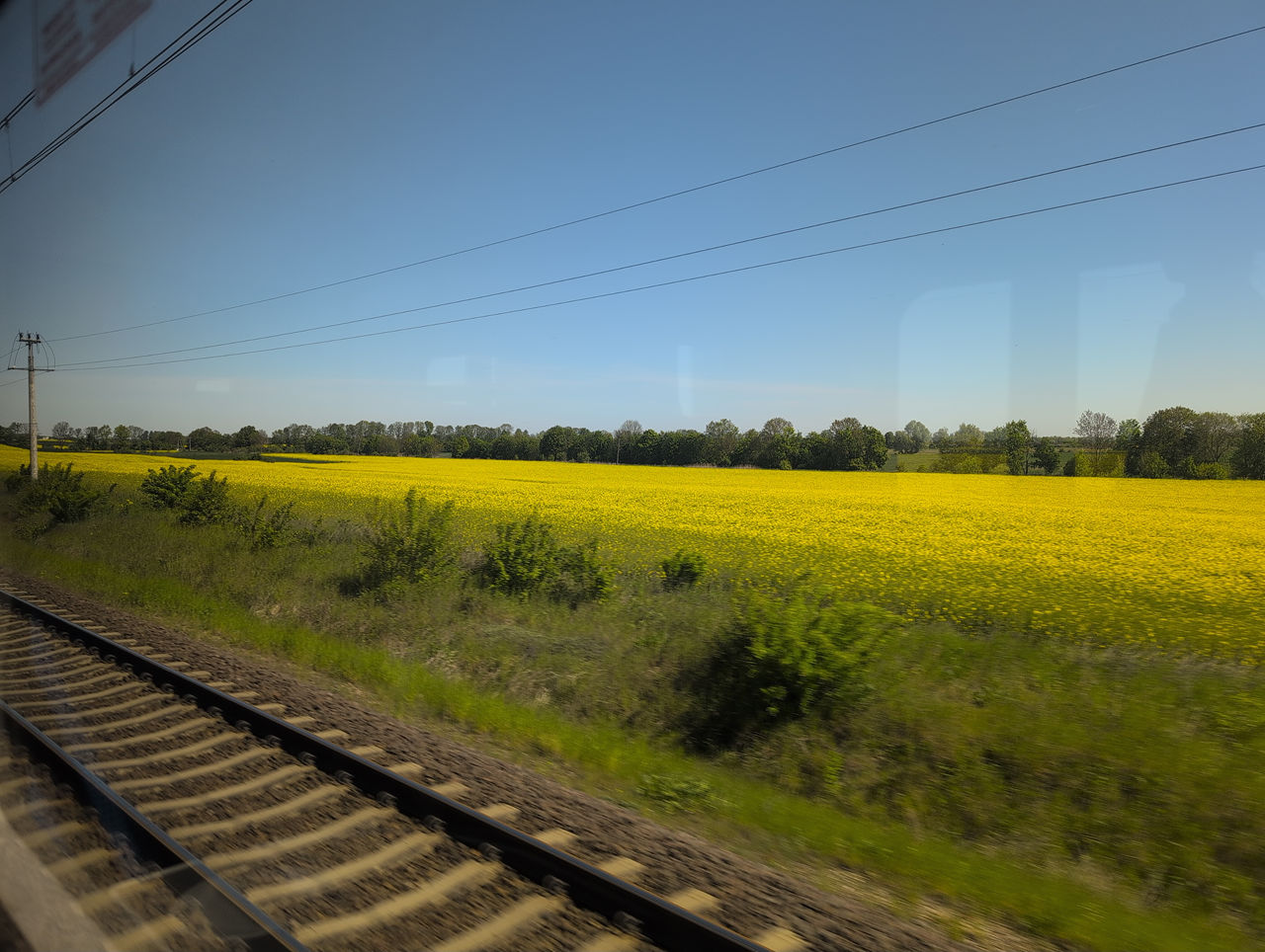 VFT_TR_Polen_326.jpg