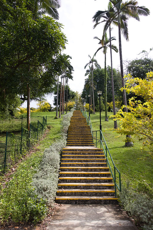 VFT_TR_SIN_059.jpg