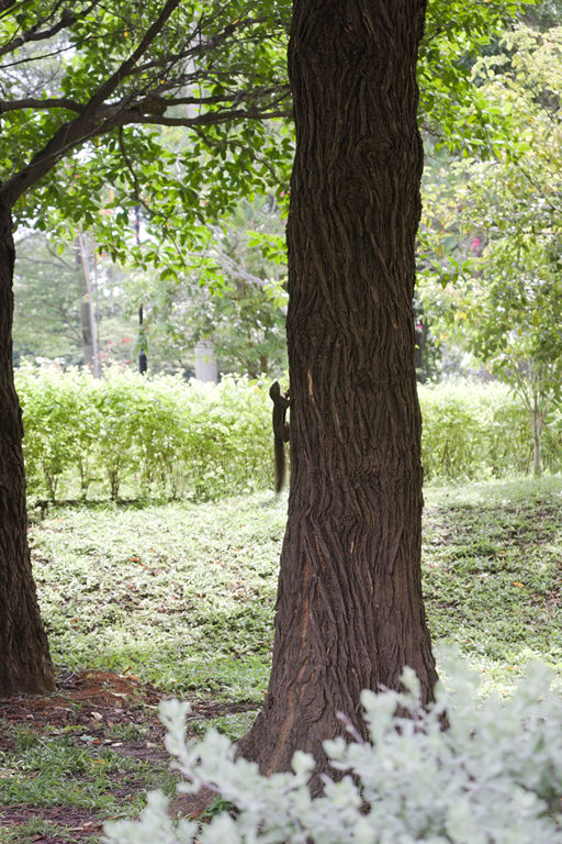 VFT_TR_SIN_060.jpg