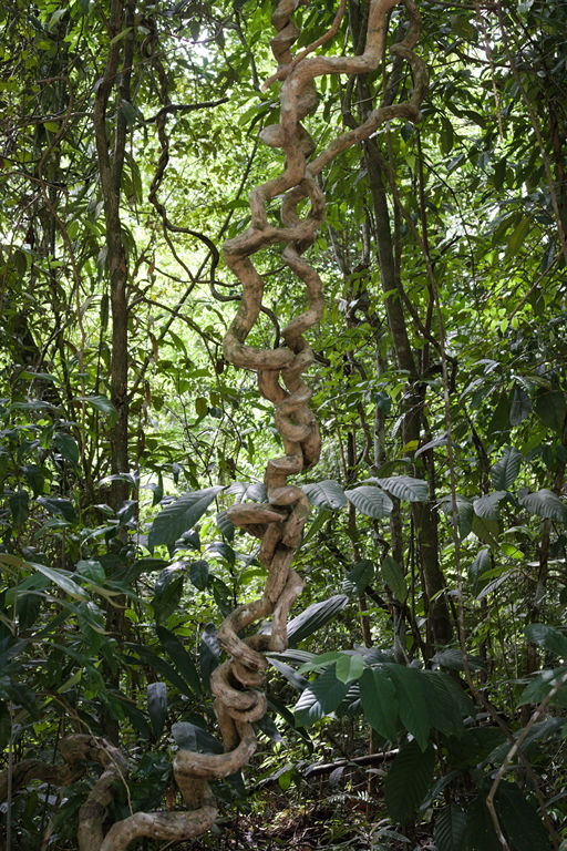 VFT_TR_SIN_076.jpg