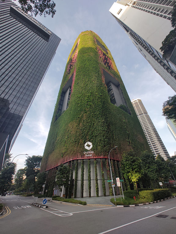 VFT_TR_SIN_087.jpg