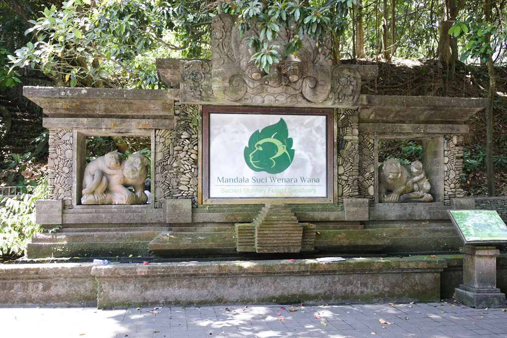 VFT_TR_SIN_136.jpg