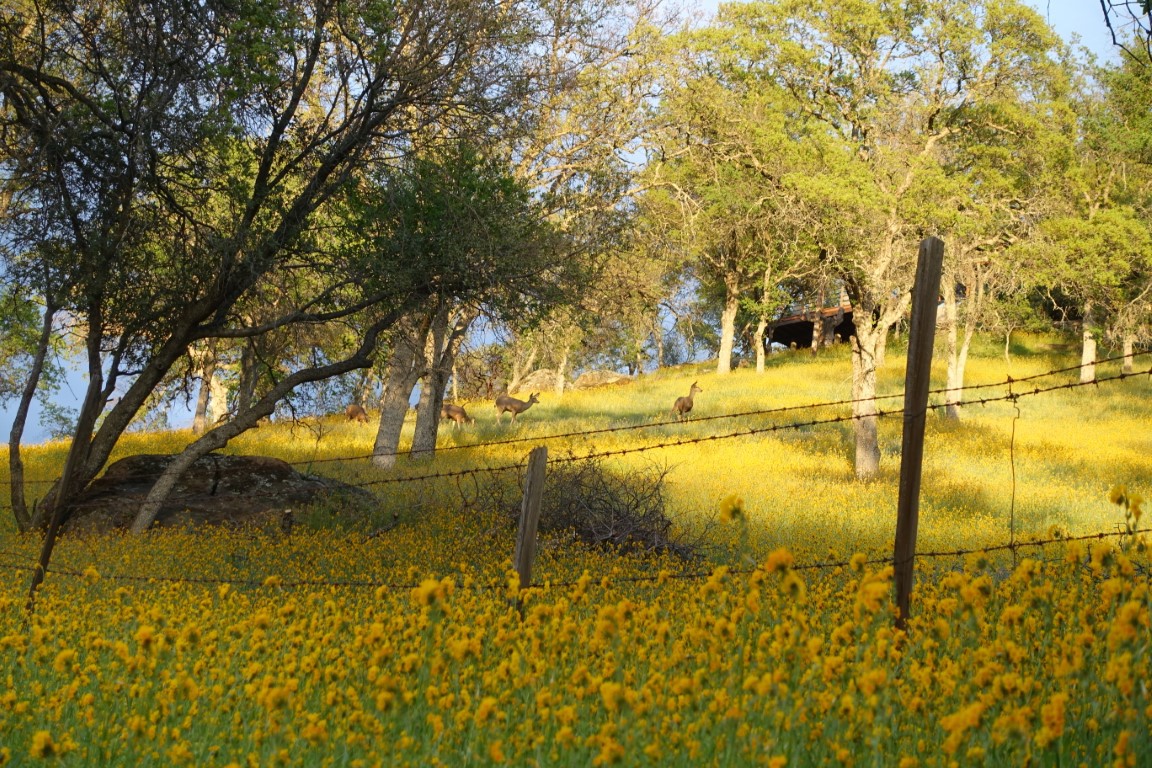 vft_tr_usa-westkuestetgjnv.jpg